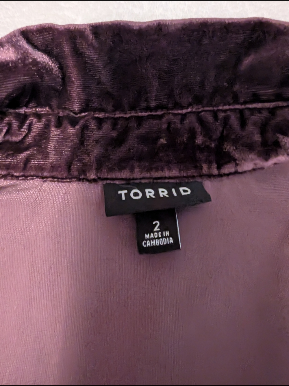 torrid Plush Velvet Collared Top in Plum - Picture 3 of 3